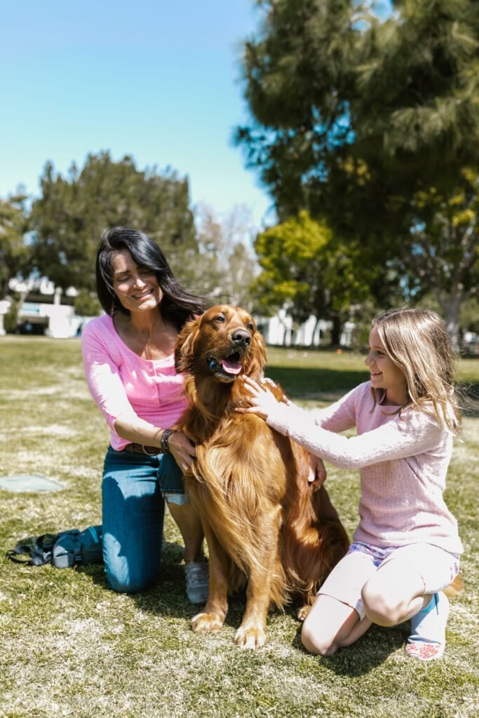 Family in a sunny park with their Golden Retriever