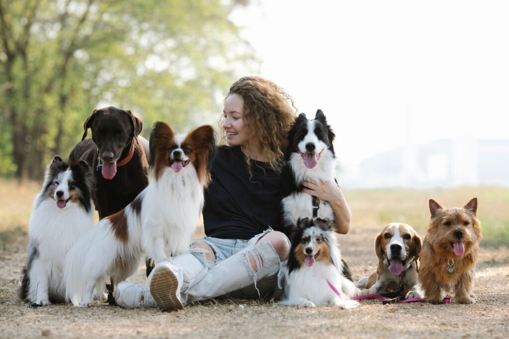 Owner with a Labrador, Border Collie, Beagle and other dog breeds